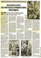 Lien Horticole, Nov. 1990, Vertical Garden by Patrick Blanc