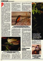 30 millions d&#039;amis, juillet 1991, Vertical Garden by Patrick Blanc