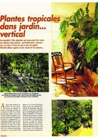 Art et Décoration - Nov 1994, , Vertical Garden by Patrick Blanc