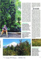 Mon Jardin et ma Maison, Oct. 1994, Vertical Garden by Patrick Blanc