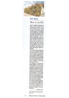 Telerama, Février 1995, Vertical Garden by Patrick Blanc