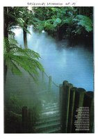 Residences Decoration, Oct. 2001, Vertical Garden by Patrick Blanc