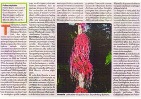 Liberation, 15 Dec. 2006, Vertical Garden by Patrick Blanc