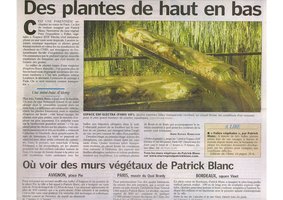 Aujourd&#039;hui en France, Mars 2007, Vertical Garden by Patrick Blanc