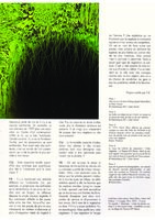 Contemporain(s) Mars 2007, Vertical Garden by Patrick Blanc