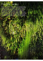 Elle Decor Jan. 2007, Vertical Garden by Patrick Blanc