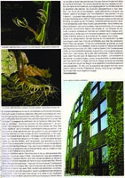 Intramuros, Mars Avril 2007, Vertical Garden by Patrick Blanc