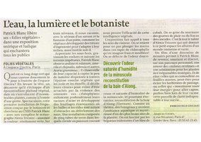 La Croix, Jan. 2007, Vertical Garden by Patrick Blanc