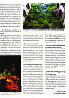 Paris Capitale Fev. 2007, Vertical Garden by Patrick Blanc