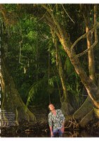 Point de Vue, Fev. 2007, Vertical Garden by Patrick Blanc