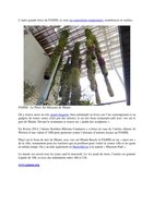 www.courrierdefloride 19 mars 2016 , Vertical Garden by Patrick Blanc
