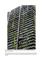 www.dailytelegraph.com.au 30 April 2016, Vertical Garden by Patrick Blanc