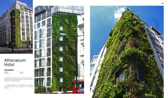 Breathing and Living Wall, Artpower,  2014, Vertical Garden by Patrick Blanc