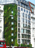 Athenaeum Hotel London, Sept 2009, Vertical Garden by Patrick Blanc 