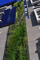 Trio, Sydney, March 2010