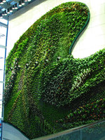 Icon Hotel, Vertical Garden  by Patrick Blanc, Hong Kong, left part