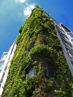 Athenaeum corner May 2010