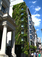 Athenaeum corner May 2010