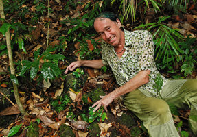 Patrick Blanc and Begonia blancii, El Nido, Palawan, May 2011