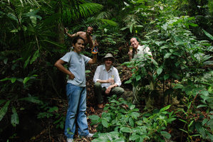 Rosario Rubite, Mark Hughes, Pascal Héni and Patrick Blanc in the Begonia blancii habitat, Palawan, May 2011