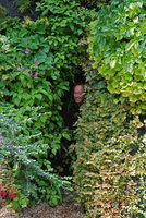 Patrick gets out of the cave, Spirale Chaumont, late summer 09