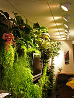 Travel Agency Sales Lentz, Luxembourg, May 2008