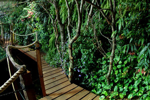 Nausicaa, under water forest