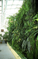 Toulouse Botanical Garden