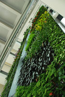 Green Office, Meudon, from below