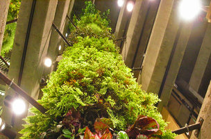Car Parking Eiffage, Ternes, Paris, one Vegetal Column