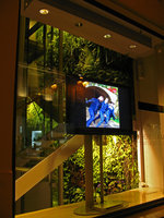 Boutique M+F Girbaud at night from the street