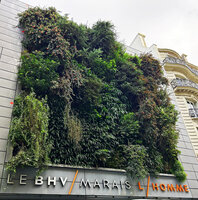 16 years old vertical garden by Patrick Blanc at BHV Homme, Paris, Nov. 2023