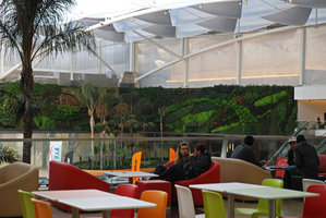 From a coffee shop, Dolce Vita, Lisbon