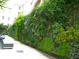 Square Vinet, Bordeaux, vertical garden by Patrick Blanc, June 2007