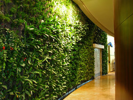 360 Mall, Kuwait, Vegetal corridor by Patrick Blanc