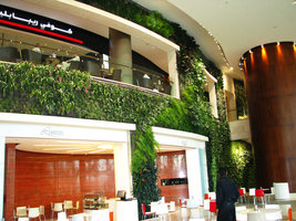 360 Mall, Kuwait, Vertical Gardens by Patrick Blanc, curve and coffee shop