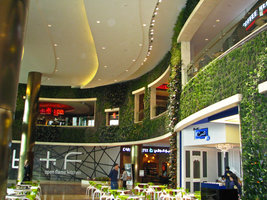 360 Mall, Kuwait, overall view of the Vertical Gardens by Patrick Blanc