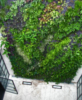 Koweit, private villa, from above