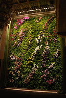 Butterfly Dance, National Theater, Taipei