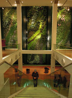 Staircase to the Vertical Garden,  Düssmann KulturKaufhaus, Berlin, Jan. 2012