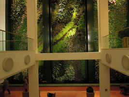 Vertical Garden, Düssmann KulturKaufhaus, Berlin, Jan. 2012