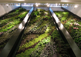 Vertical Garden Upper part,  Düssmann KulturKaufhaus, Berlin, Jan. 2012