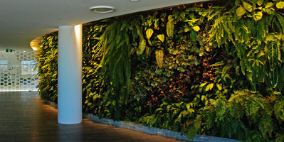 Qantas First Class Lounge, Sydney, Jan. 2011