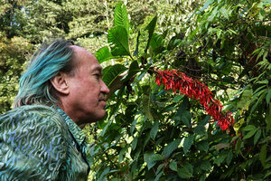 2020 - Patrick Blanc and the flowers distributed along the leafless vertical stem of the monocaulous Hoffmannia cauliflora, Mirador Rey Tepepul, Lake Atitlan, Guatemala