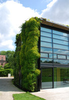 Vegetal House, Brussels, view from the garden, June 2010