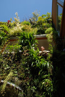 Pascal in our troglodytic house