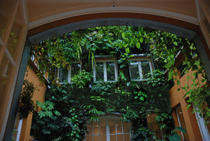 Patio, seen from inside