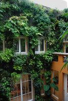 Patio, seen from above