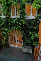 Patio, bench and Boehmeria