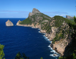 Karst cliffs with trees, Mallorca, Balearic Islands